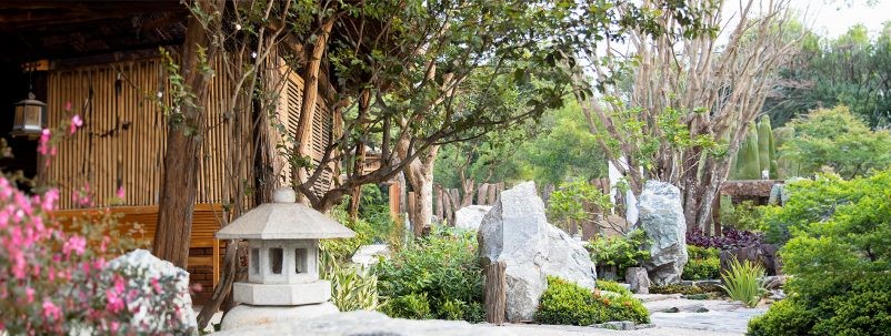 Thiết kế thi công sân vườn
