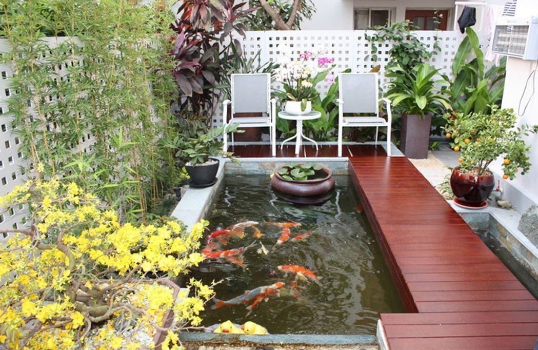 Nhà đẹp sân vườn truyền thống có hồ cá tuyệt đẹp