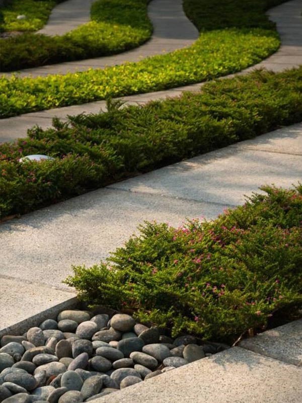 Thiết Kế Sân Vườn Phong Cách Hiện Đại