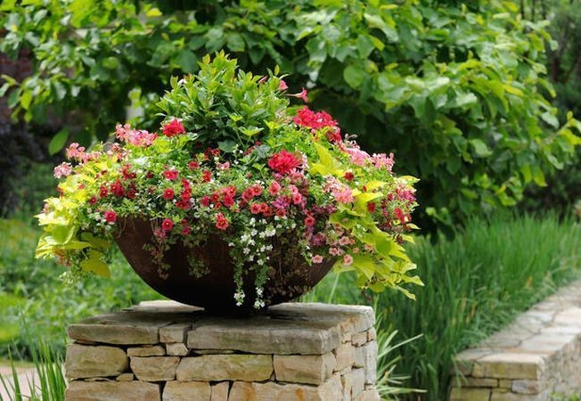 Chậu hoa nhỏ đặt trước nhà giúp ngôi nhà thêm đẹp