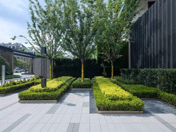 Thiết Kế Sân Vườn Phong Cách Hiện Đại